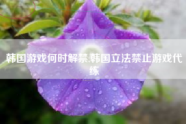 韩国游戏何时解禁,韩国立法禁止游戏代练