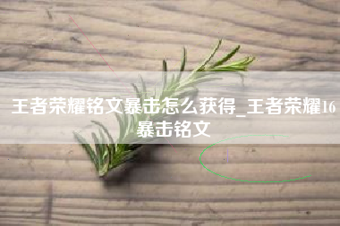 王者荣耀铭文暴击怎么获得_王者荣耀16暴击铭文