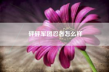 砰砰军团忍者怎么样