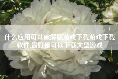 什么应用可以破解版游戏下载游戏下载软件,最好是可以下载大型游戏
