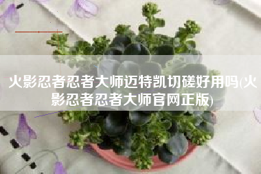 火影忍者忍者大师迈特凯切磋好用吗(火影忍者忍者大师官网正版)