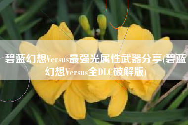 碧蓝幻想Versus最强光属性武器分享(碧蓝幻想Versus全DLC破解版)
