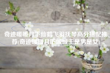奇迹暖暖月下仙鹤飞羽抚琴高分搭配推荐(奇迹暖暖月下城城主是男是女)