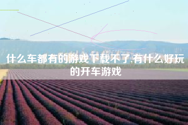 什么车都有的游戏下载不了,有什么好玩的开车游戏