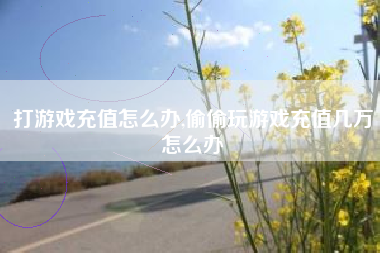 打游戏充值怎么办,偷偷玩游戏充值几万怎么办