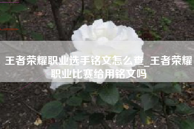 王者荣耀职业选手铭文怎么查_王者荣耀职业比赛给用铭文吗