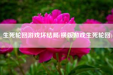 生死轮回游戏坏结局(横版游戏生死轮回)