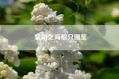 黎明之海船只图鉴