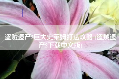 盗贼遗产2巨大史莱姆打法攻略 (盗贼遗产2下载中文版)