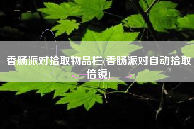 香肠派对拾取物品栏(香肠派对自动拾取倍镜)