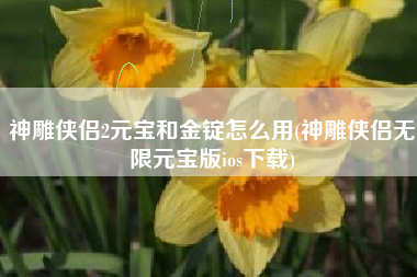 神雕侠侣2元宝和金锭怎么用(神雕侠侣无限元宝版ios下载)