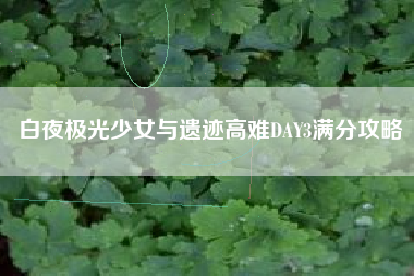 白夜极光少女与遗迹高难DAY3满分攻略