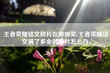 王者荣耀铭文碎片在哪抽奖(王者荣耀铭文满了多余的碎片怎么办)