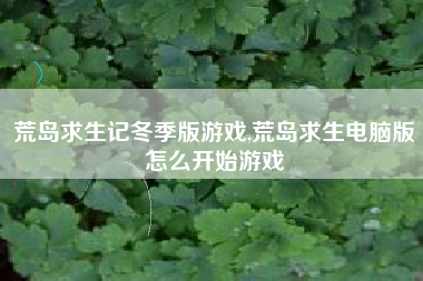 荒岛求生记冬季版游戏,荒岛求生电脑版怎么开始游戏