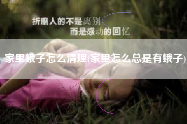 家里蛾子怎么清理(家里怎么总是有蛾子)