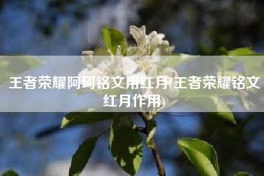 王者荣耀阿珂铭文用红月(王者荣耀铭文红月作用)
