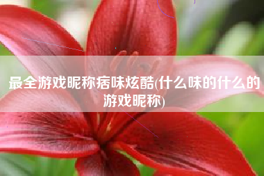 最全游戏昵称痞味炫酷(什么味的什么的游戏昵称)