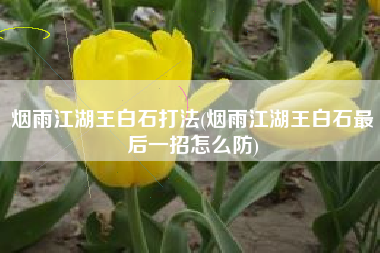 烟雨江湖王白石打法(烟雨江湖王白石最后一招怎么防)