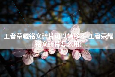 王者荣耀铭文碎片可以转移不(王者荣耀铭文碎片怎么用)