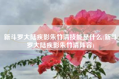 新斗罗大陆疾影朱竹清技能是什么(新斗罗大陆疾影朱竹清阵容)