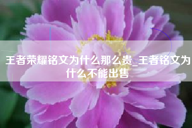 王者荣耀铭文为什么那么贵_王者铭文为什么不能出售