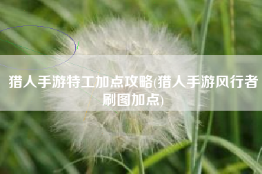 猎人手游特工加点攻略(猎人手游风行者刷图加点)