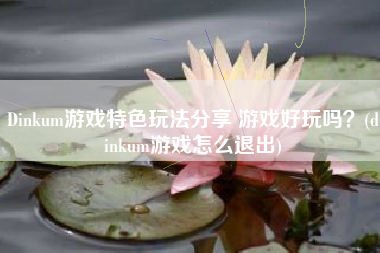 Dinkum游戏特色玩法分享 游戏好玩吗？(dinkum游戏怎么退出)