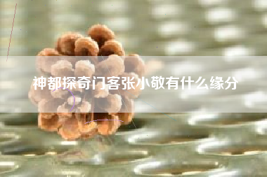 神都探奇门客张小敬有什么缘分