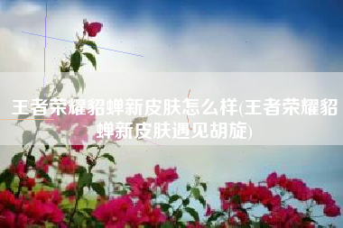 王者荣耀貂蝉新皮肤怎么样(王者荣耀貂蝉新皮肤遇见胡旋)