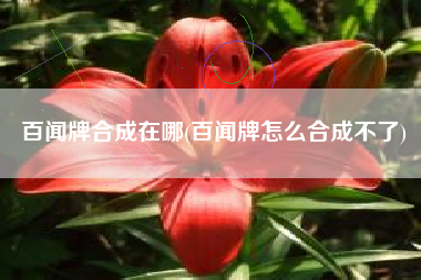百闻牌合成在哪(百闻牌怎么合成不了)