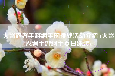 火影忍者手游纲手的挑战活动介绍 (火影忍者手游纲手夏日泳装)