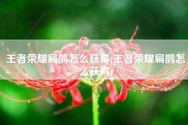 王者荣耀扁鹊怎么获得(王者荣耀扁鹊怎么获得)