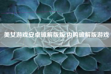 美女游戏安卓破解版版,内购破解版游戏