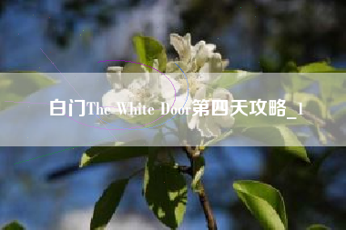 白门The White Door第四天攻略_1