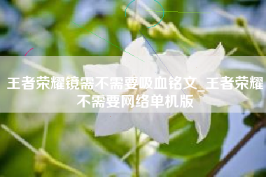 王者荣耀镜需不需要吸血铭文_王者荣耀不需要网络单机版
