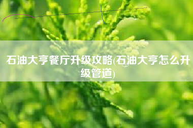 石油大亨餐厅升级攻略(石油大亨怎么升级管道)