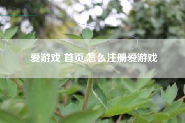 爱游戏 首页,怎么注册爱游戏