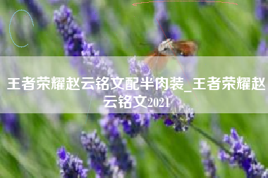 王者荣耀赵云铭文配半肉装_王者荣耀赵云铭文2021