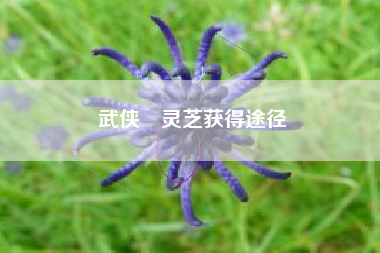 武侠乂灵芝获得途径