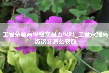 王者荣耀高级铭文是五级吗_王者荣耀高级铭文怎么获取
