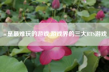 sc是最难玩的游戏,游戏界的三大RTS游戏