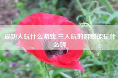 成功人玩什么游戏,三人玩的游戏能玩什么呢
