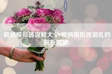 收纳模拟器攻略大全(收纳模拟器混乱的橱柜攻略)