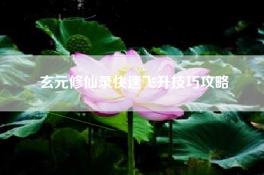 玄元修仙录快速飞升技巧攻略