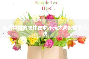 游戏中给的硬件要求,不玩太高配置的游戏
