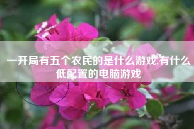 一开局有五个农民的是什么游戏,有什么低配置的电脑游戏