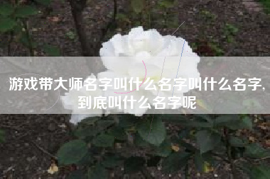游戏带大师名字叫什么名字叫什么名字,到底叫什么名字呢