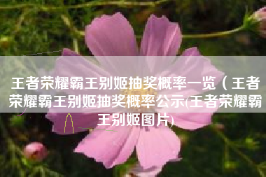 王者荣耀霸王别姬抽奖概率一览（王者荣耀霸王别姬抽奖概率公示(王者荣耀霸王别姬图片)