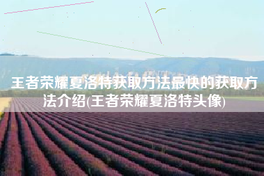 王者荣耀夏洛特获取方法最快的获取方法介绍(王者荣耀夏洛特头像)