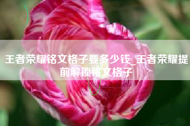 王者荣耀铭文格子要多少钱_王者荣耀提前解锁铭文格子